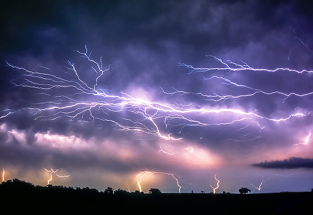 Anvil Crawler lightning, Norman Oklahoma