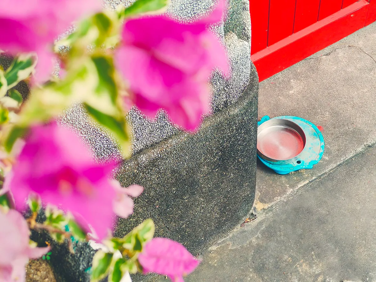 78438 1 高雄手機攝影課程-邱泓璋攝影課程